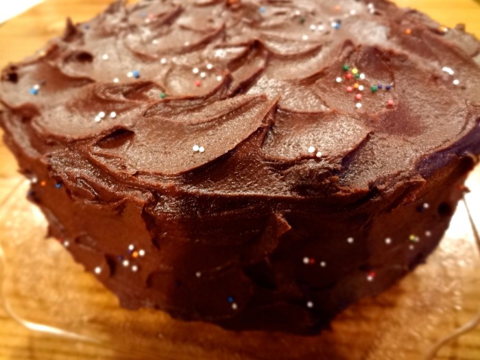 Yellow Birthday Cake with Chocolate Ganache: The Briarwood Baker