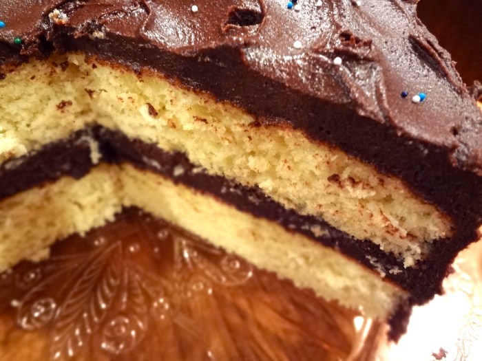 Yellow Birthday Cake with Chocolate Ganache: The Briarwood Baker