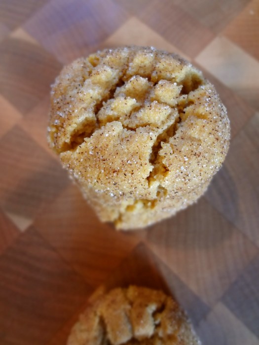 Flourless Cinnamon Sugar Peanut Butter Cookies: The Briarwood Baker