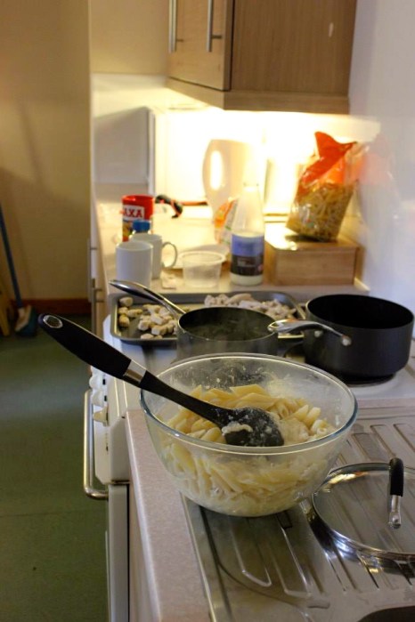 Chicken alfredo time. 