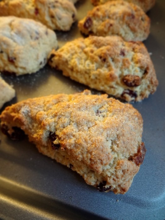 Fruit Scones: The Briarwood Baker