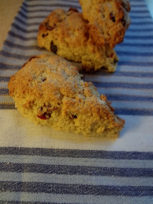 Fruit Scones: The Briarwood Baker