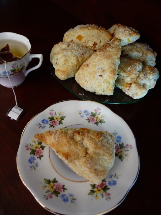 Coconut Apricot Scones: The Briarwood Baker